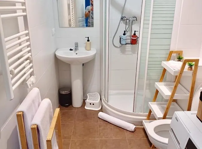 Le Peyragudes - Rue De La Grotte - 36m Lourdes